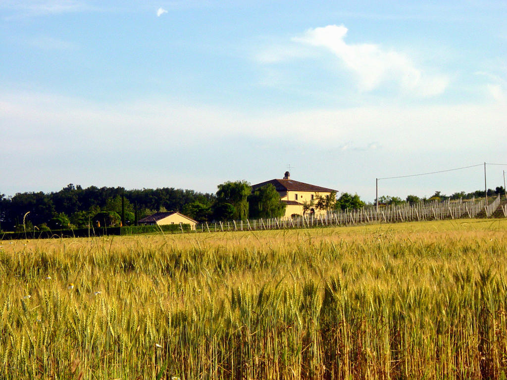 Agriturismo Verbena Castiglione del Lago Εξωτερικό φωτογραφία