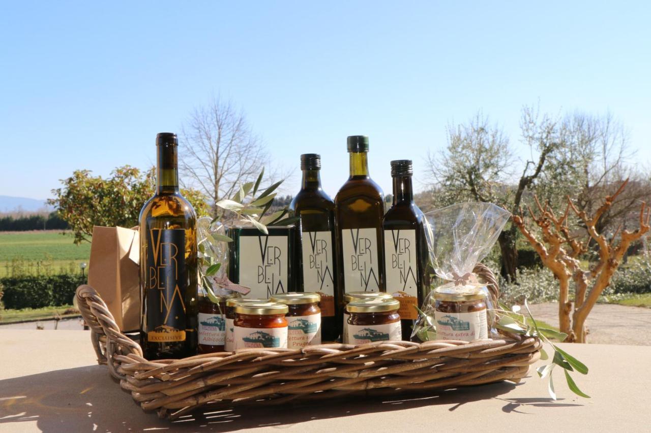 Agriturismo Verbena Castiglione del Lago Εξωτερικό φωτογραφία