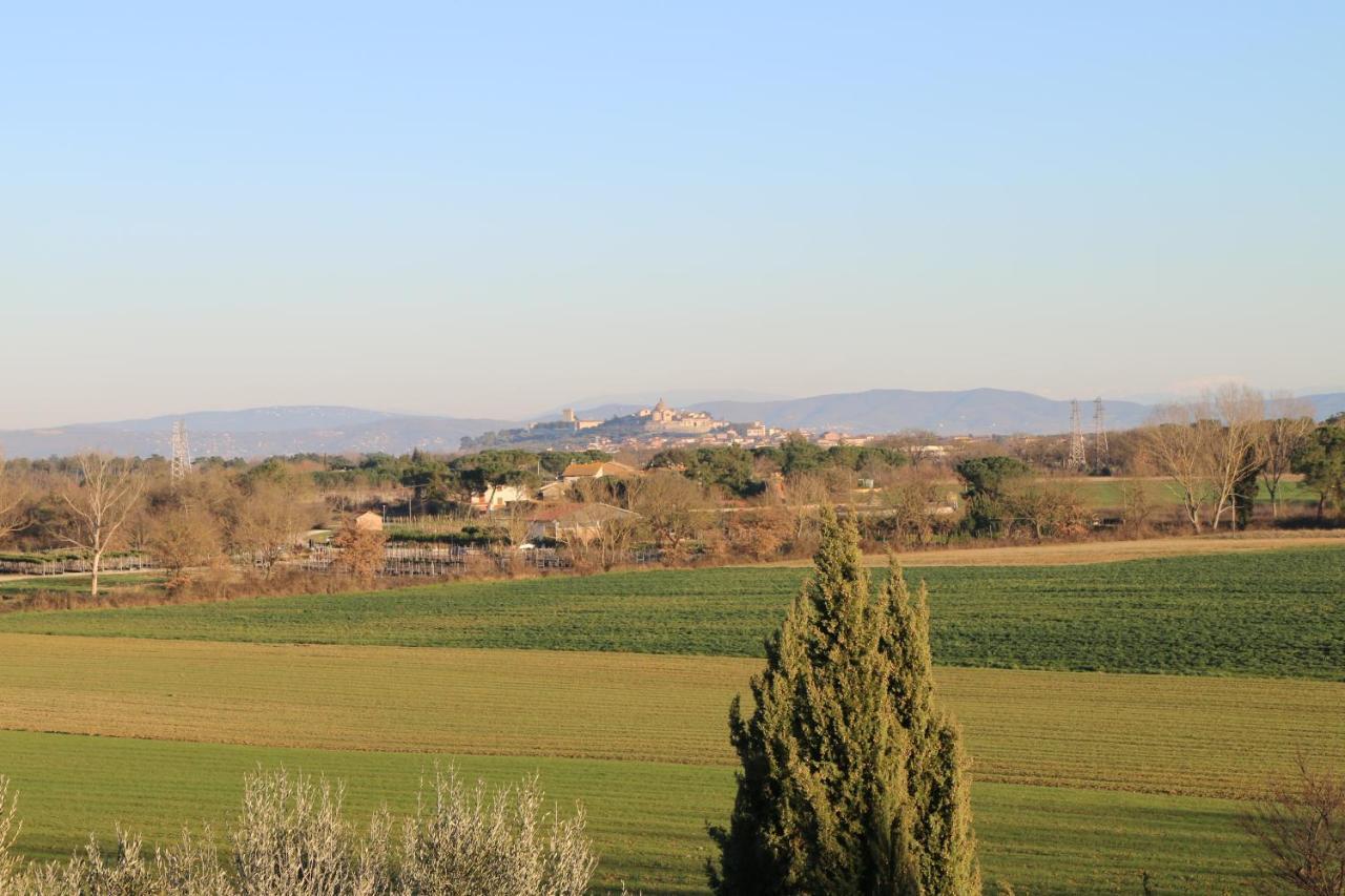 Agriturismo Verbena Castiglione del Lago Εξωτερικό φωτογραφία